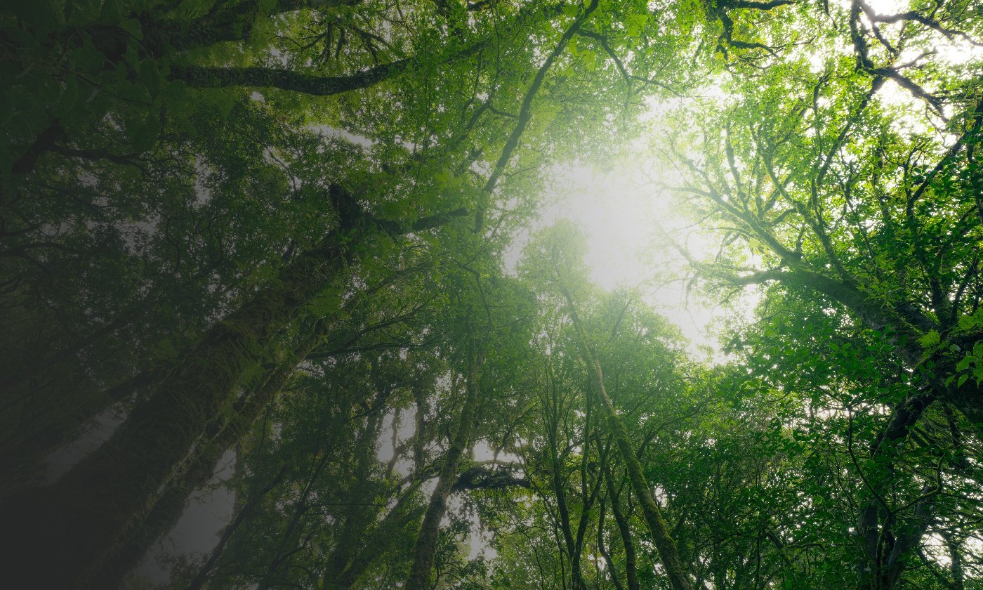 Governo Federal define regras para emissão de debêntures incentivadas e de infraestrutura para projetos de parques urbanos públicos