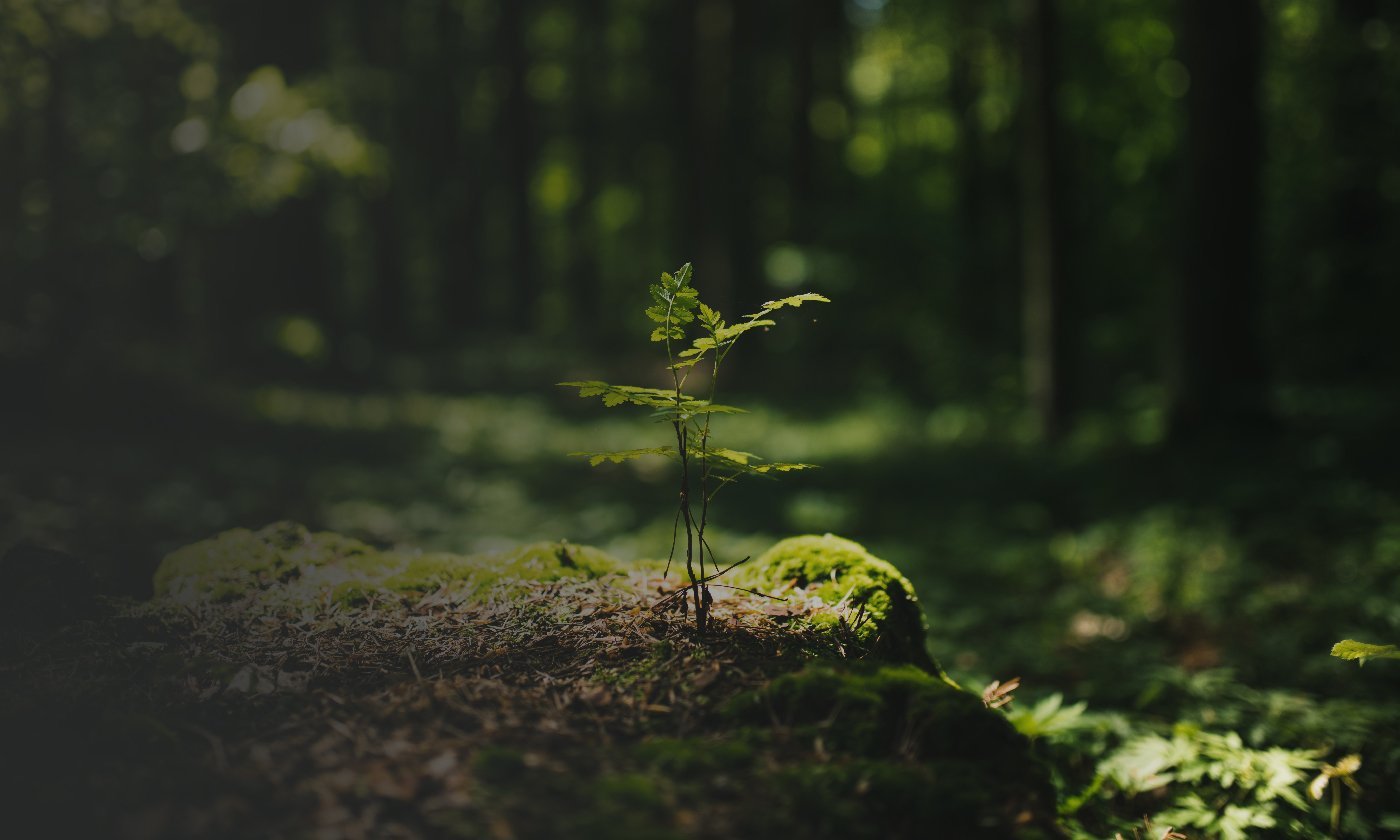 Entenda as Novas Regras para Logística Reversa de Embalagens de Plástico