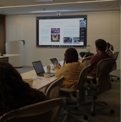 Affinity Groups - meetings of the VOICES Program